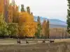 quemquemtreu wildlife