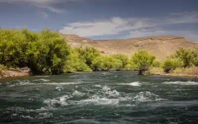 Fish Patagonia – November Fishing Report