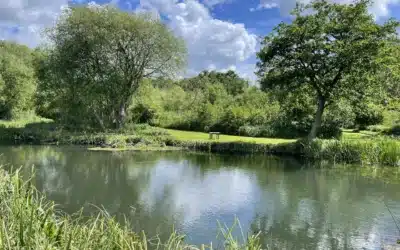 Fish Patagonia Trip Report: The English Chalk Streams, May 2026
