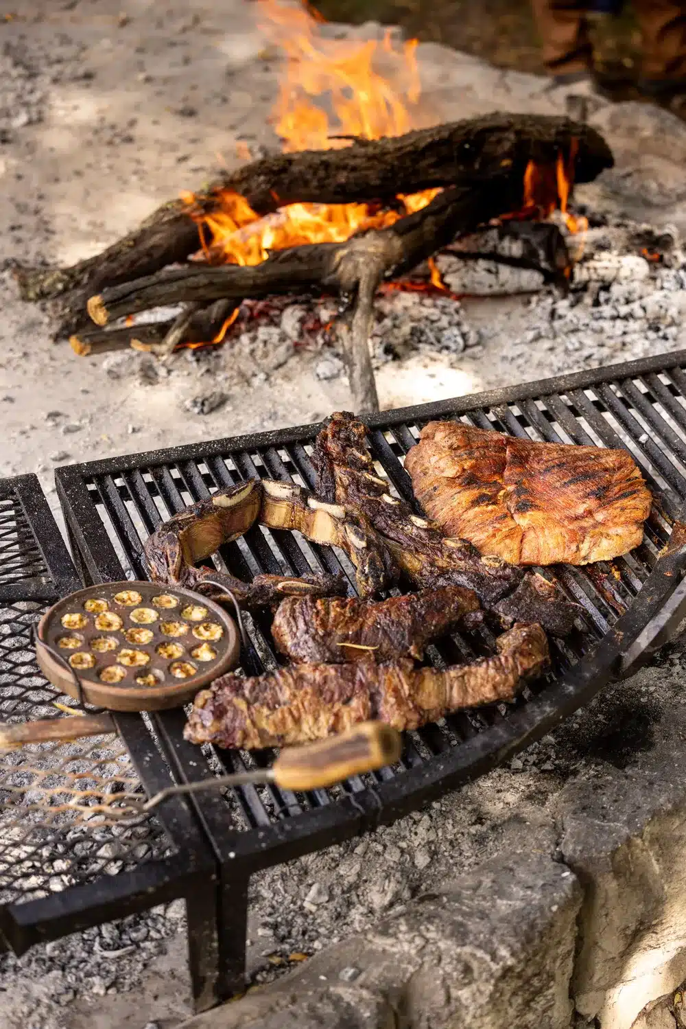 various cuts of meat and cheese on a grill beside a wood burning fire at Arroyo Verde lodge Patagonia