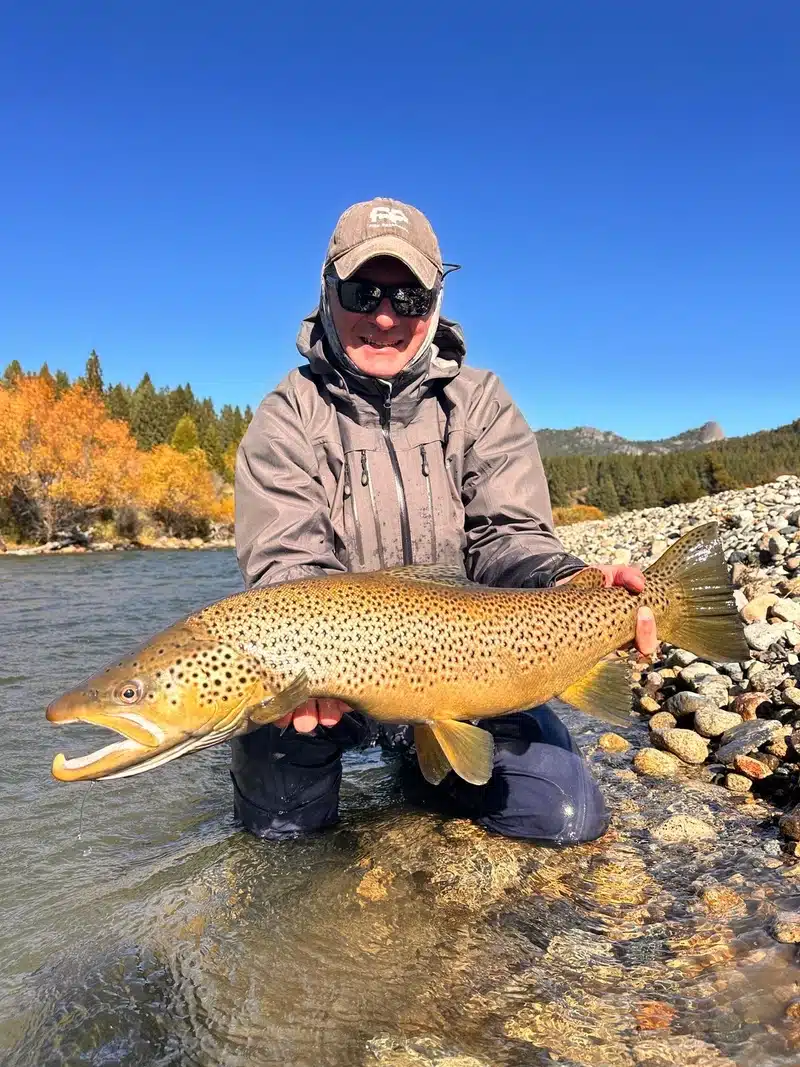 fisherman holds a huge migratory trout out of the water on the Traful River Patagonia